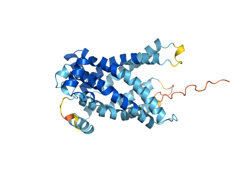 AlphaFold predicted structure of MRS4