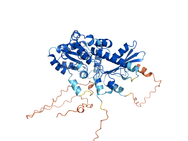 AlphaFold predicted structure of NAR1