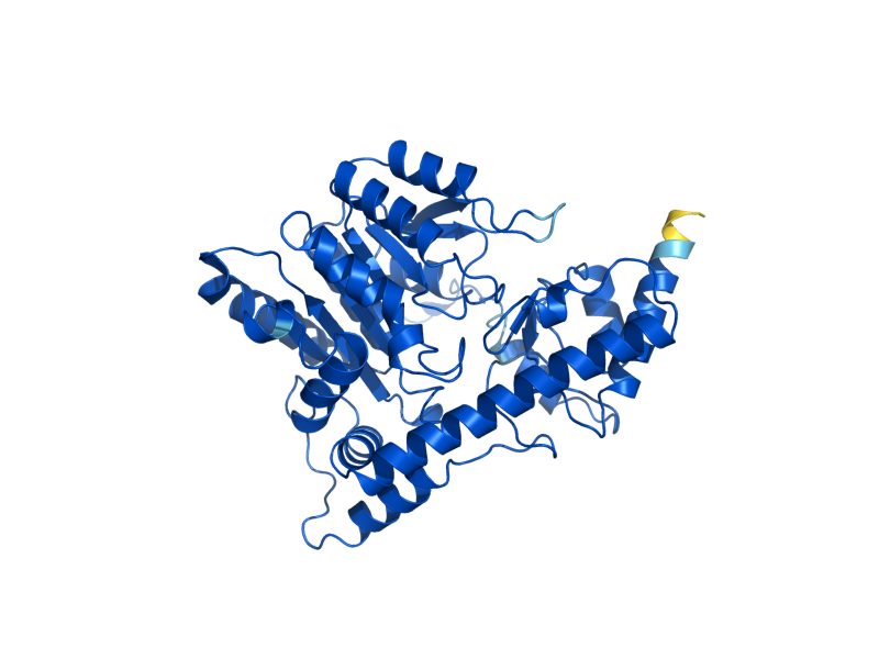 AlphaFold predicted structure of AAT2