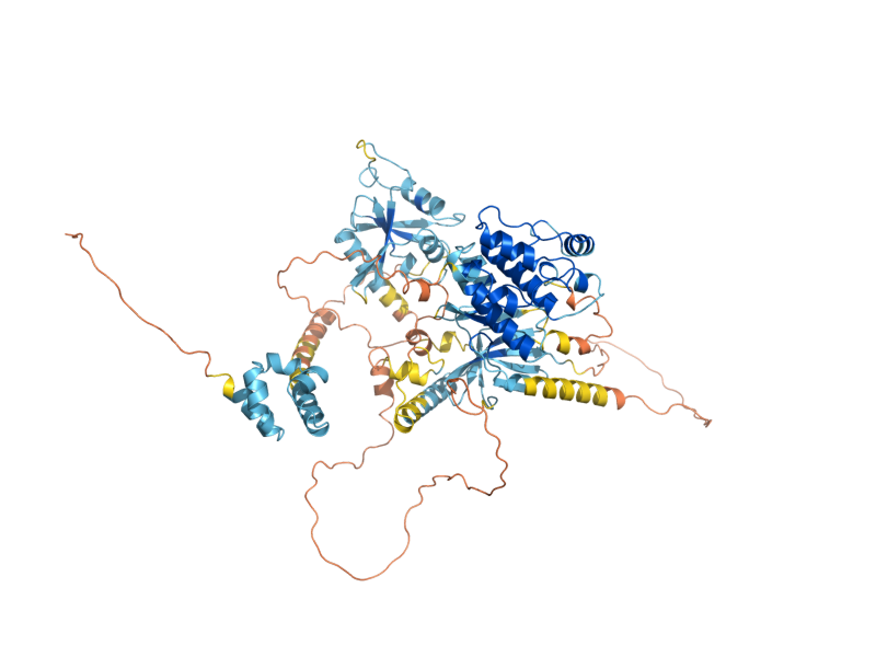 AlphaFold predicted structure of STE11