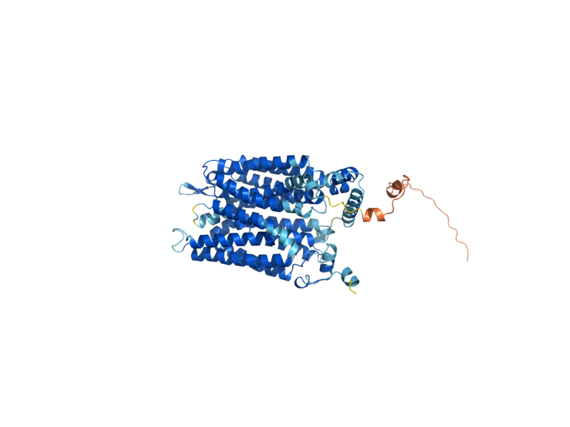 AlphaFold predicted structure of HXT2