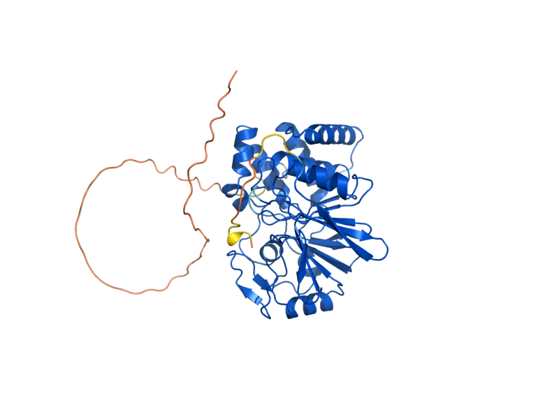 AlphaFold predicted structure of PPH22