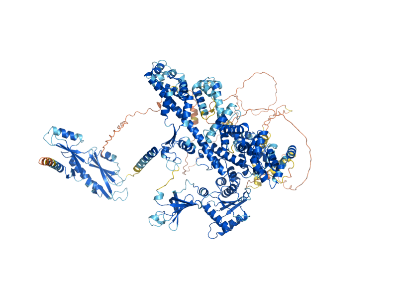 AlphaFold predicted structure of SPT6