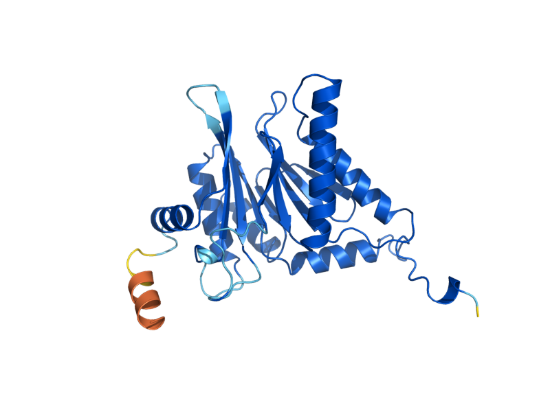 AlphaFold predicted structure of PRE9