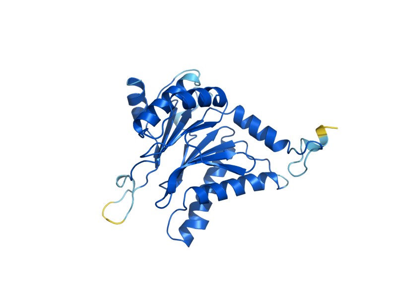 AlphaFold predicted structure of PRE8