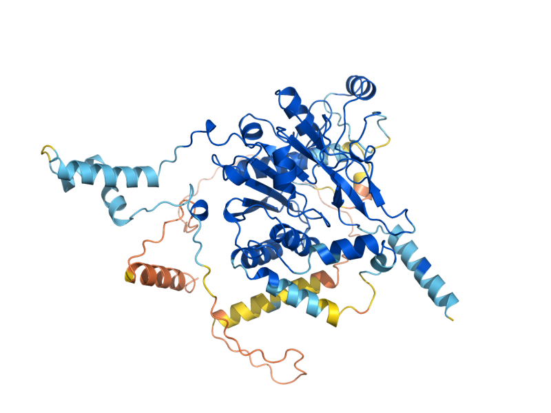 AlphaFold predicted structure of VAN1