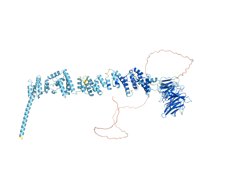 AlphaFold predicted structure of VPS3