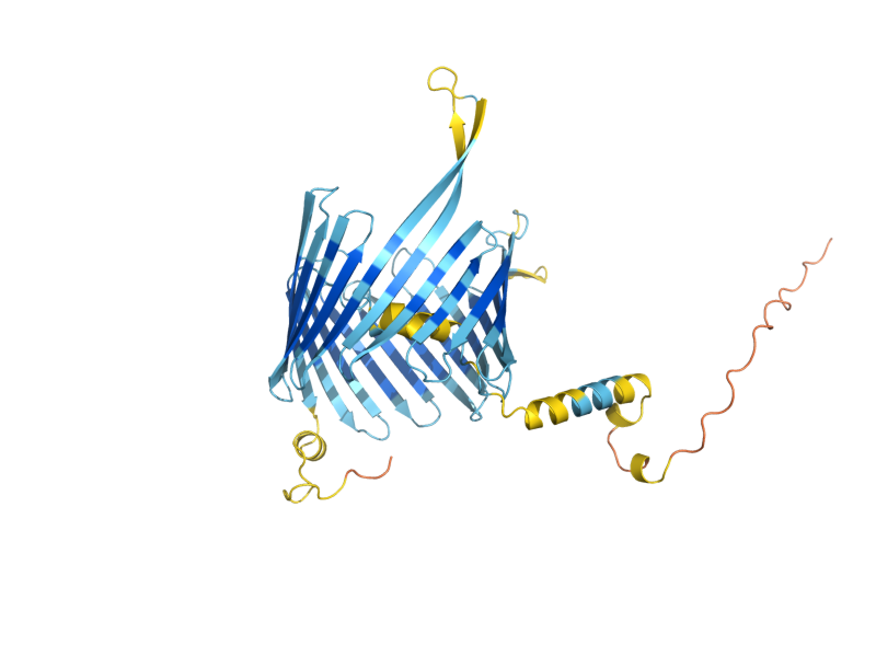 AlphaFold predicted structure of TOM40