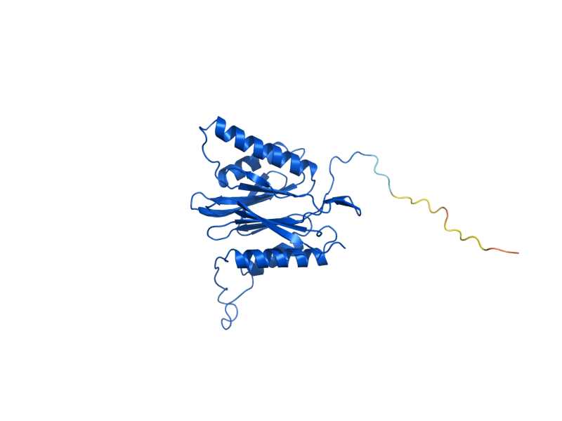 AlphaFold predicted structure of PRE7