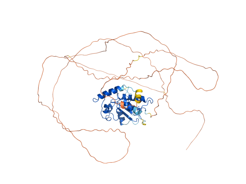 AlphaFold predicted structure of MIH1
