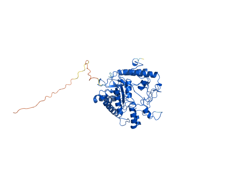 AlphaFold predicted structure of EXG1