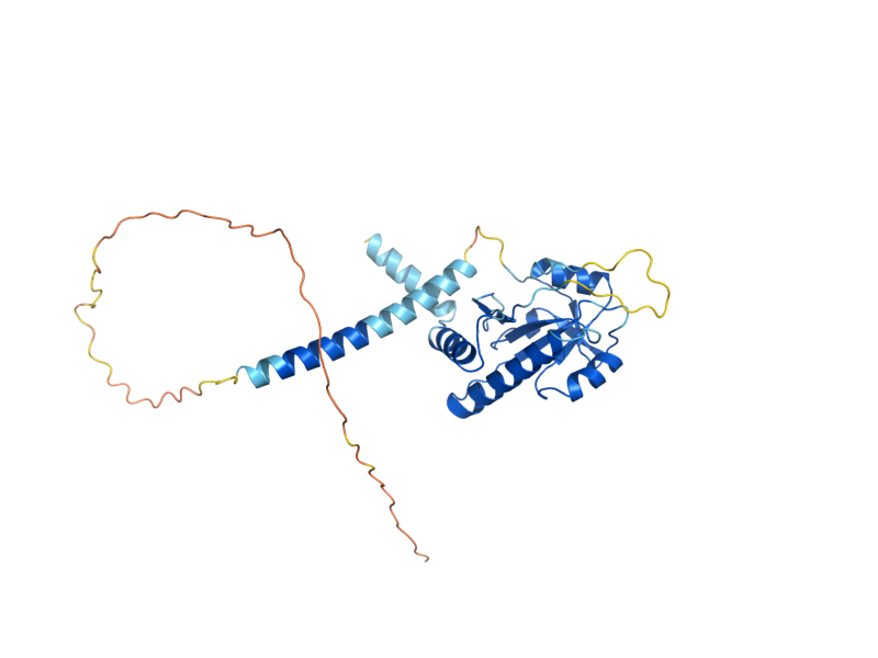 AlphaFold predicted structure of SCO1