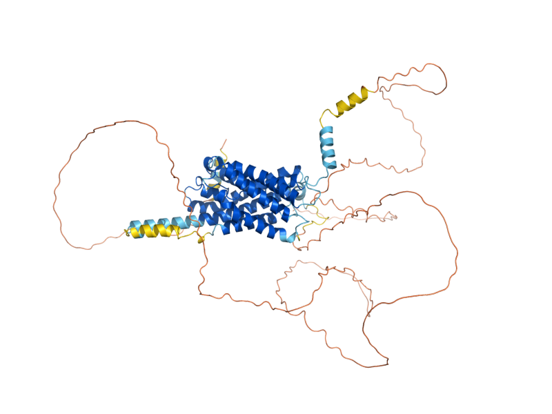 AlphaFold predicted structure of FPS1