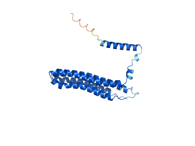 AlphaFold predicted structure of VMA16