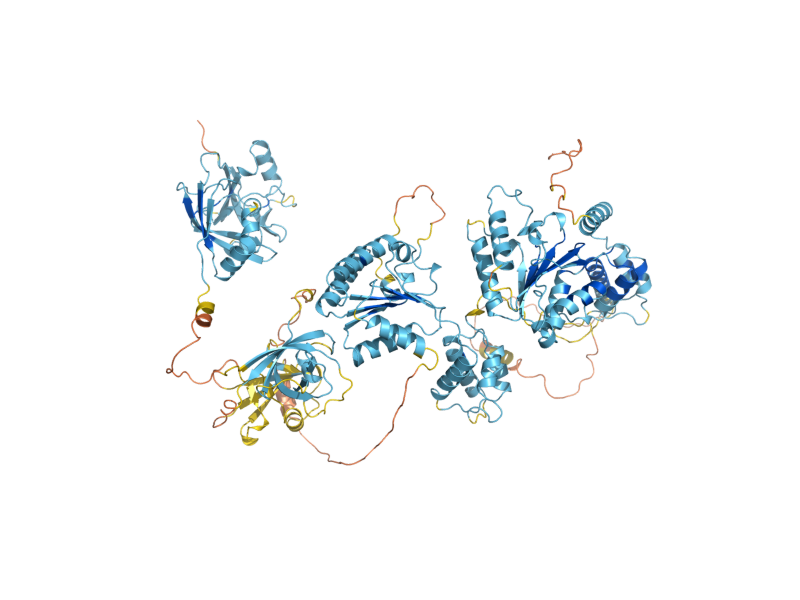 AlphaFold predicted structure of PEX1