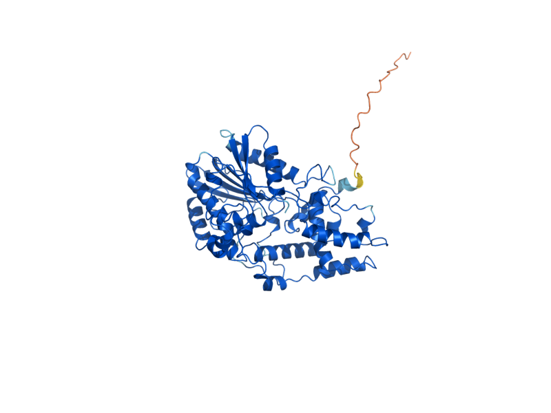 AlphaFold predicted structure of PHO3