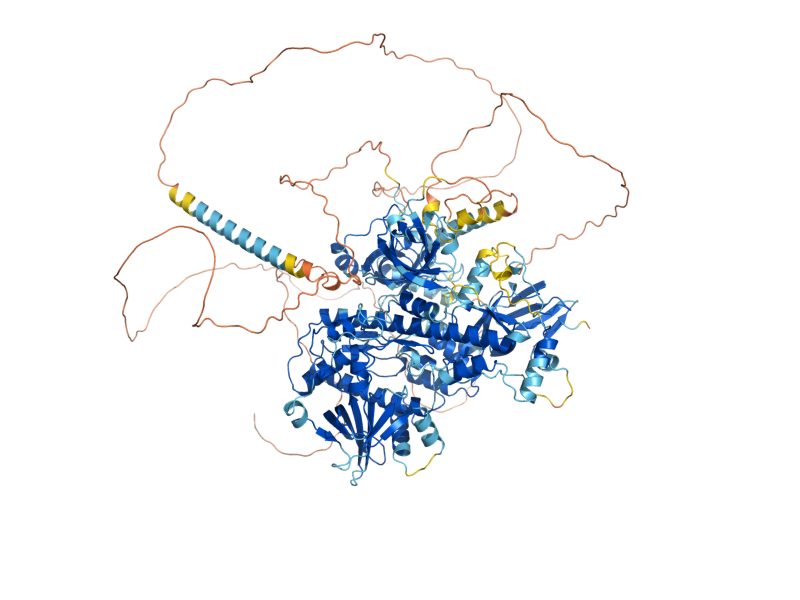 AlphaFold predicted structure of SSD1