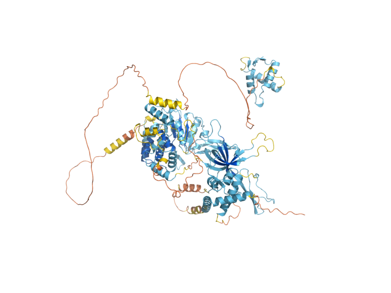AlphaFold predicted structure of MCM3