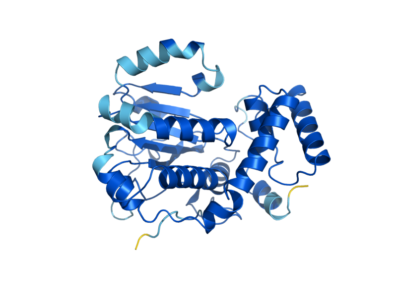 AlphaFold predicted structure of SEC14