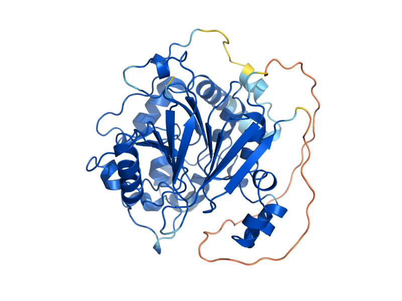 AlphaFold predicted structure of DBR1