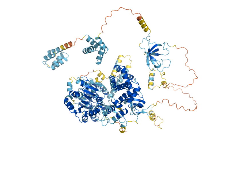 AlphaFold predicted structure of PRP22