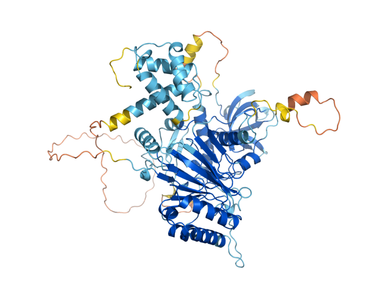 AlphaFold predicted structure of DPB2