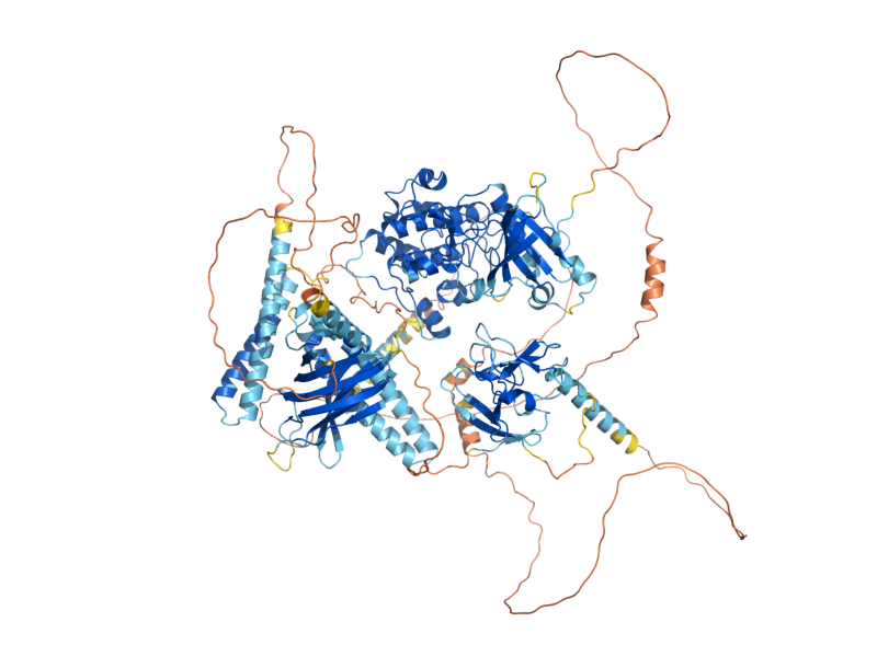 AlphaFold predicted structure of PKC1