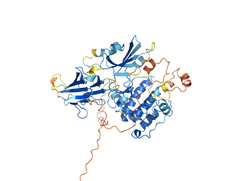 AlphaFold predicted structure of MEK1