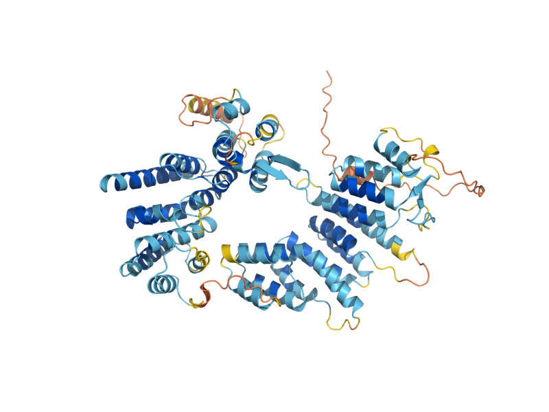 AlphaFold predicted structure of MNE1