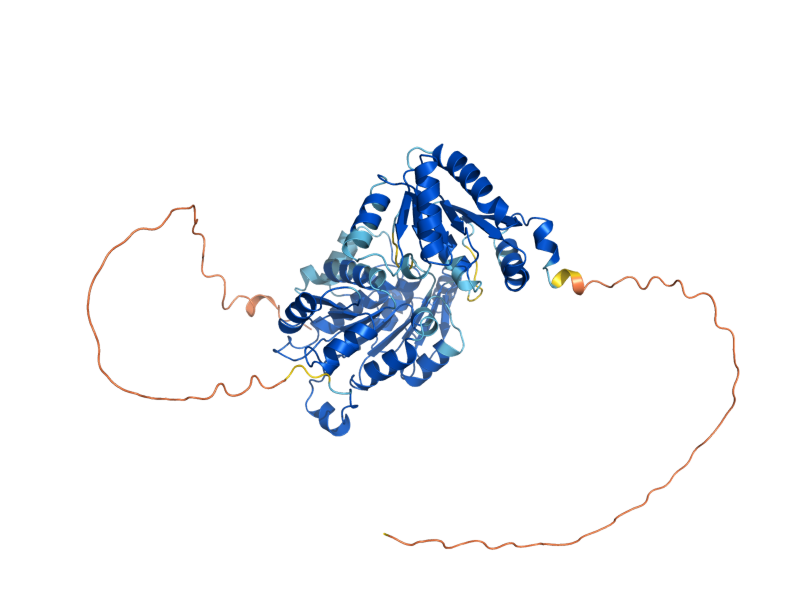 AlphaFold predicted structure of DBP2