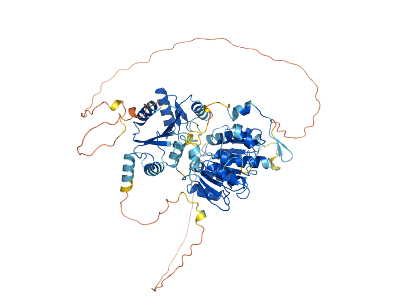 AlphaFold predicted structure of DBP1