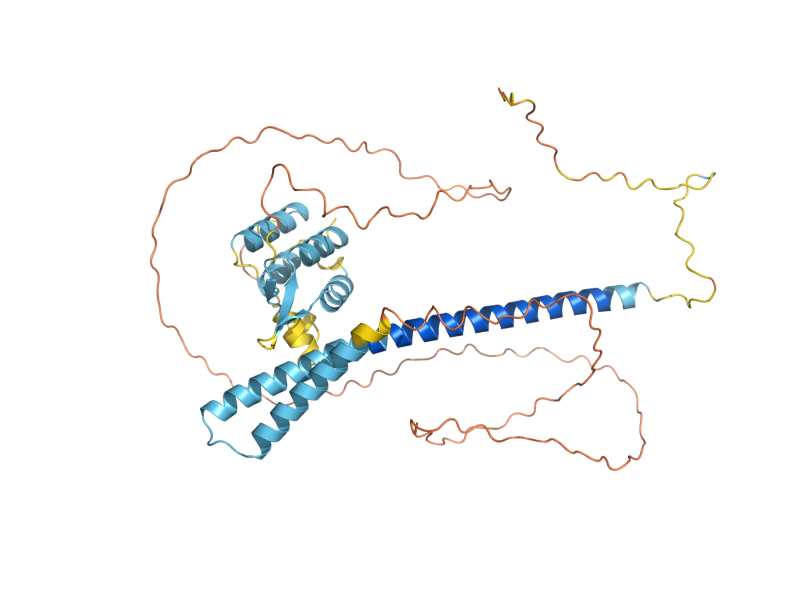 AlphaFold predicted structure of CAD1