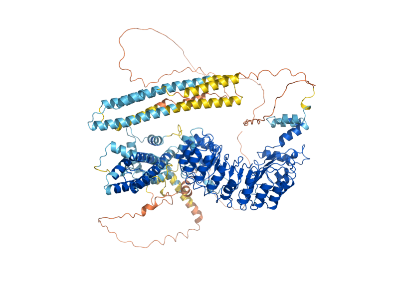 AlphaFold predicted structure of GRR1