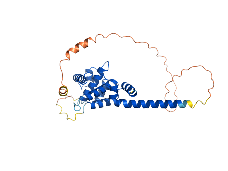 AlphaFold predicted structure of PCL1