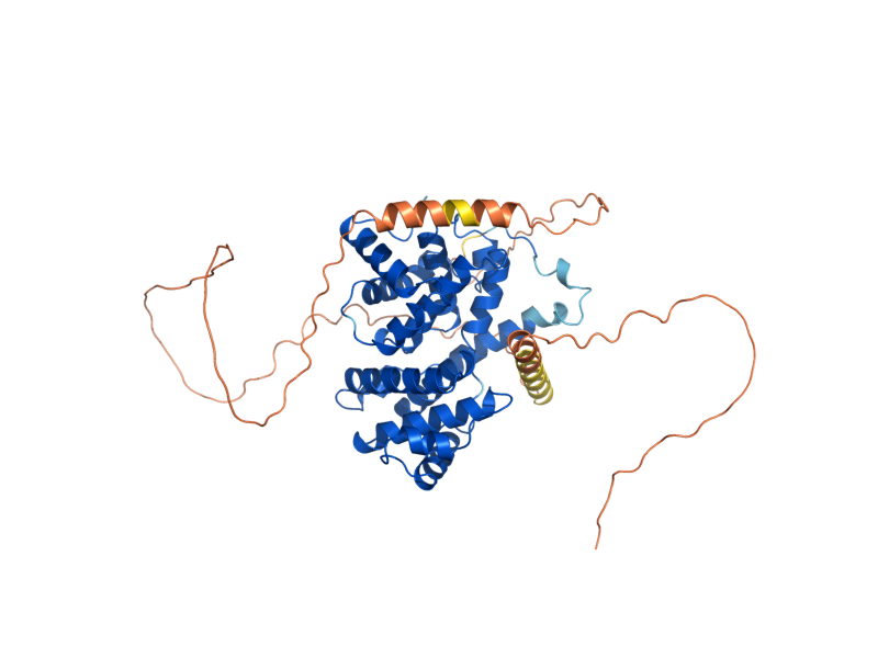 AlphaFold predicted structure of CLB1
