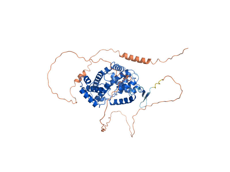 AlphaFold predicted structure of CLB2