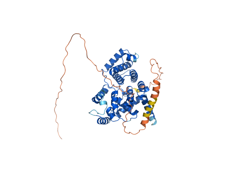 AlphaFold predicted structure of CLB3