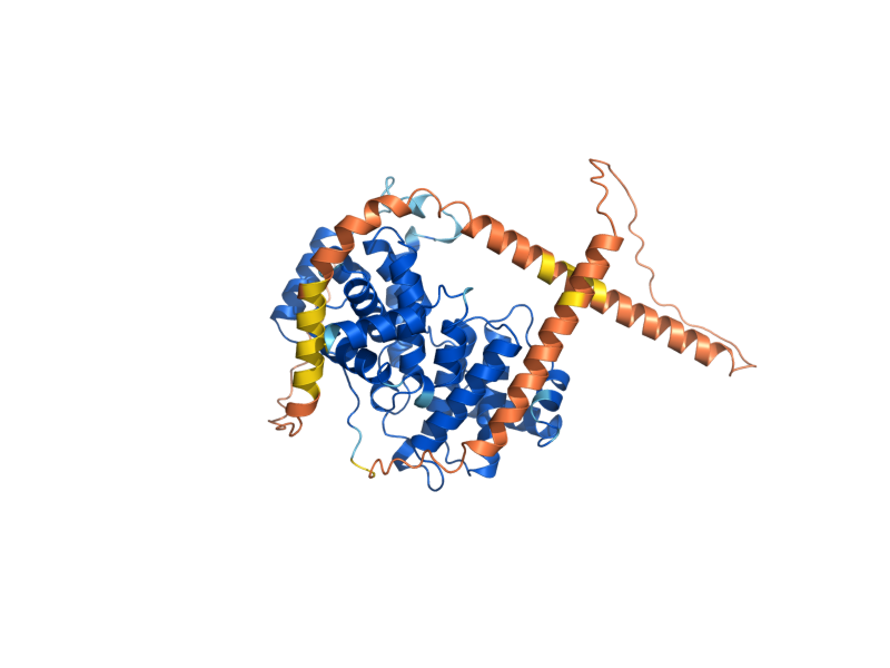 AlphaFold predicted structure of CLB4