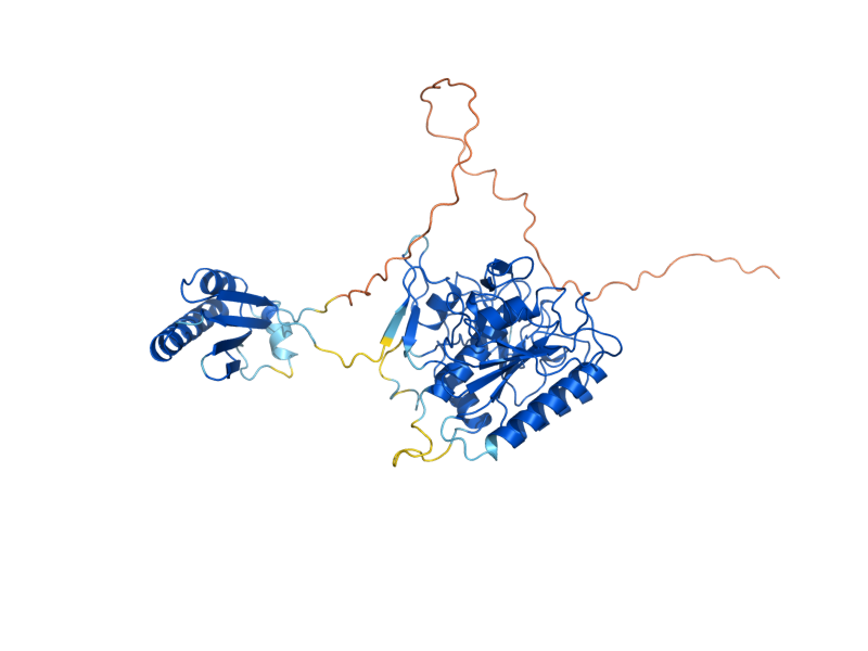 AlphaFold predicted structure of YSP3