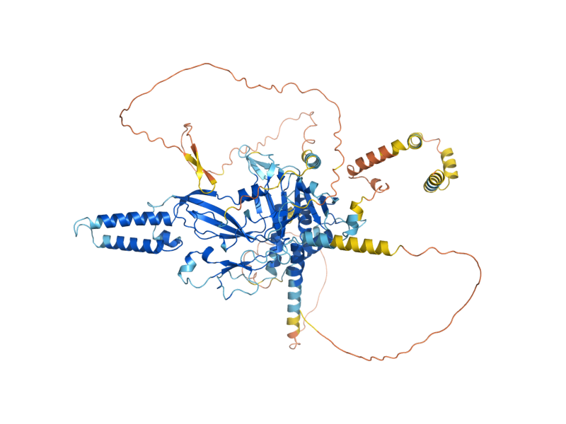 AlphaFold predicted structure of UBP1