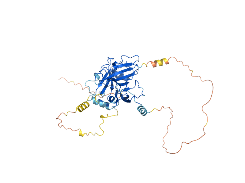 AlphaFold predicted structure of TSR4