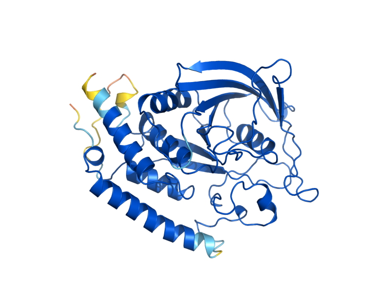 AlphaFold predicted structure of PTP1