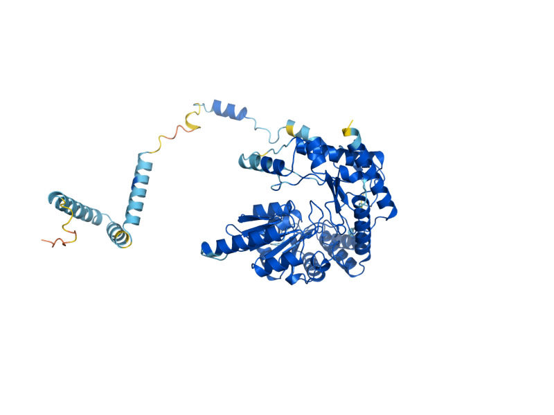 AlphaFold predicted structure of LCB1
