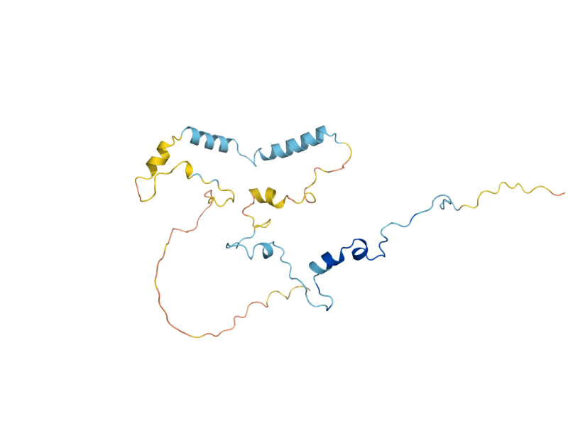 AlphaFold predicted structure of ROX3