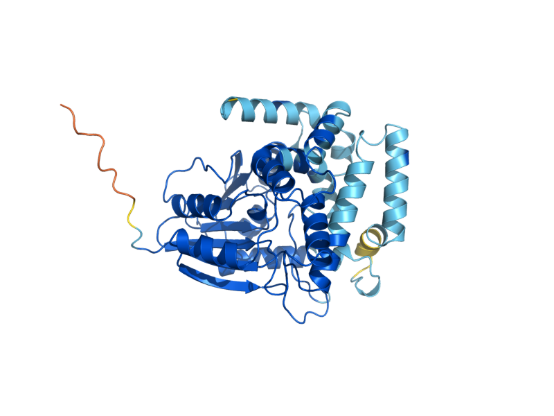 AlphaFold predicted structure of ERG6