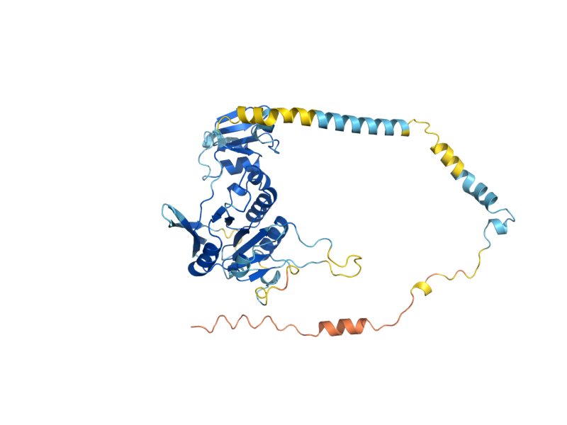 AlphaFold predicted structure of MRM1