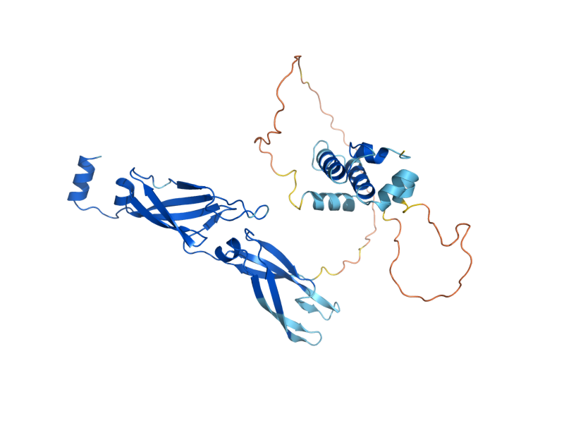AlphaFold predicted structure of SIS1