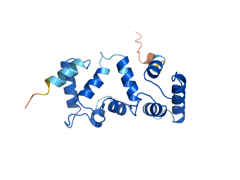 AlphaFold predicted structure of CNB1