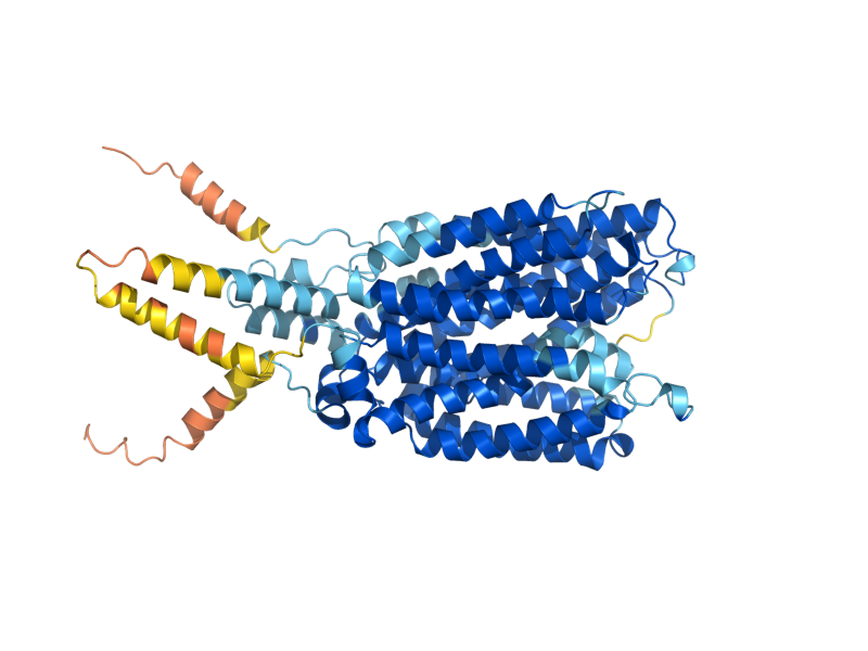 AlphaFold predicted structure of PHO84