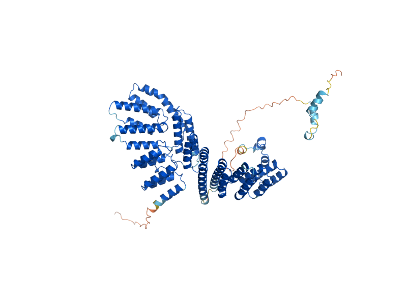 AlphaFold predicted structure of RNA14